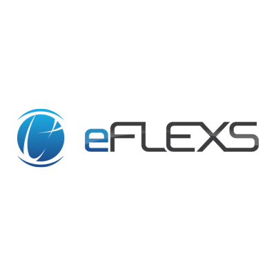 Profilbild der Softwarelösung eFLEXS