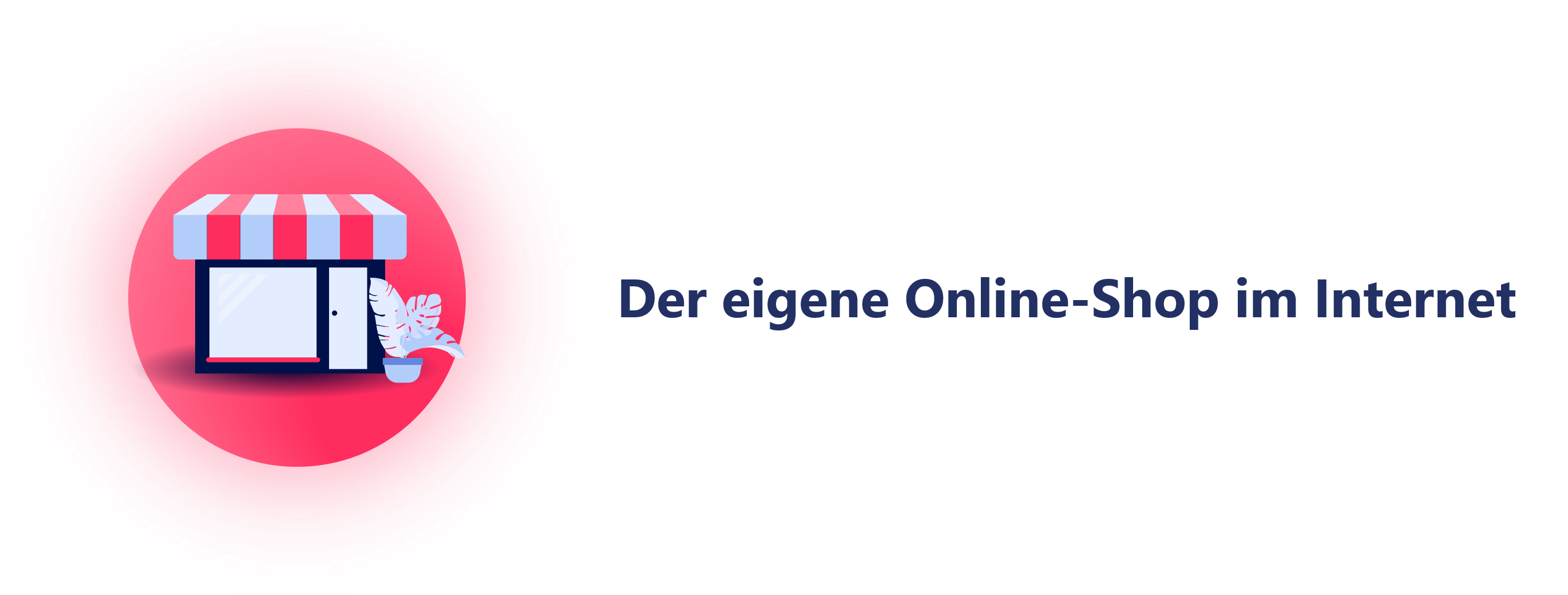 Darstellung - Der eigene Webshop im Internet