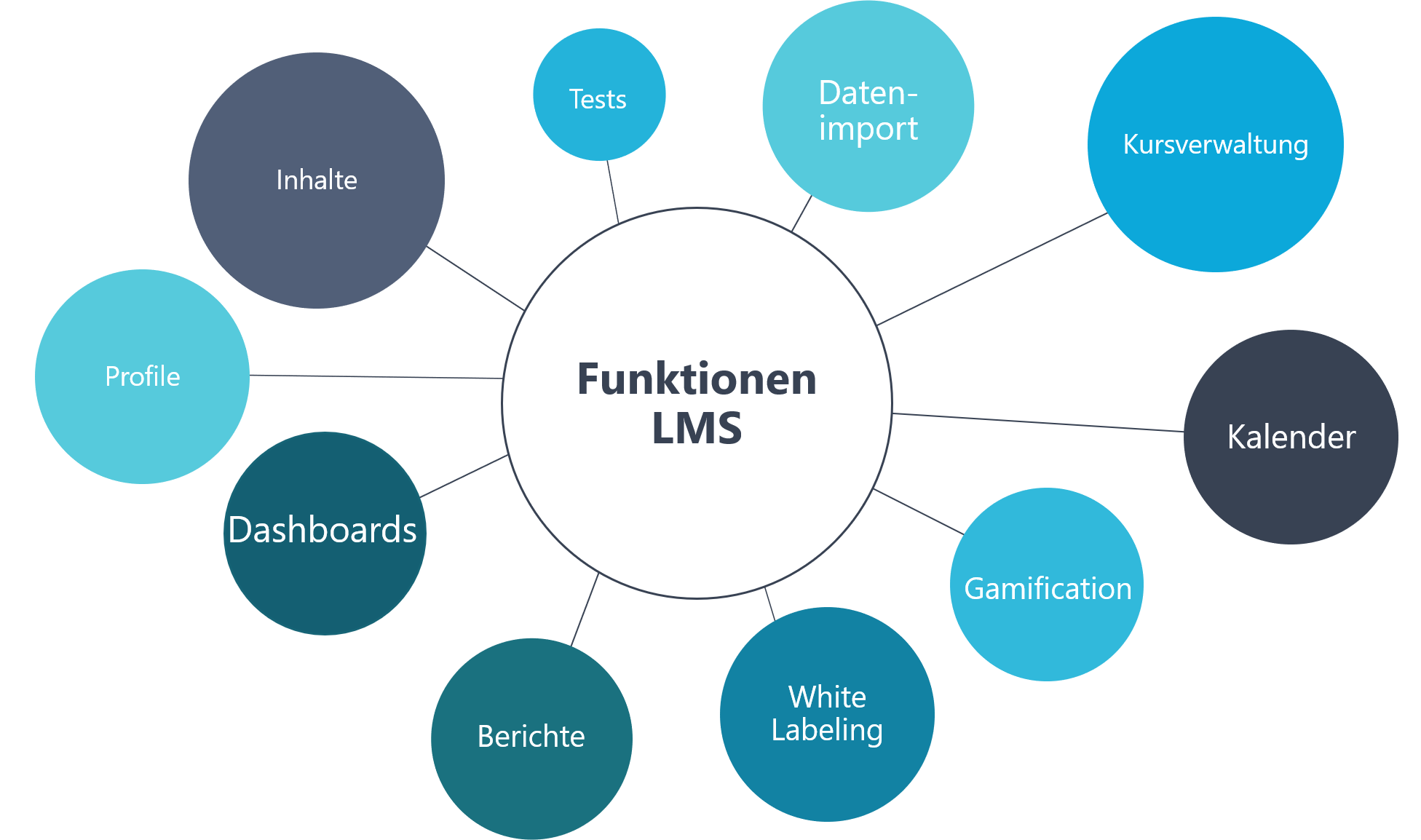 Darstellung von wichtigen Funktionen eines Learning Management Systems